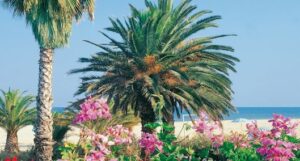 Appartamenti Le Palme - San Benedetto del Tronto (AP)