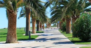 Appartamenti Le Palme - San Benedetto del Tronto (AP)